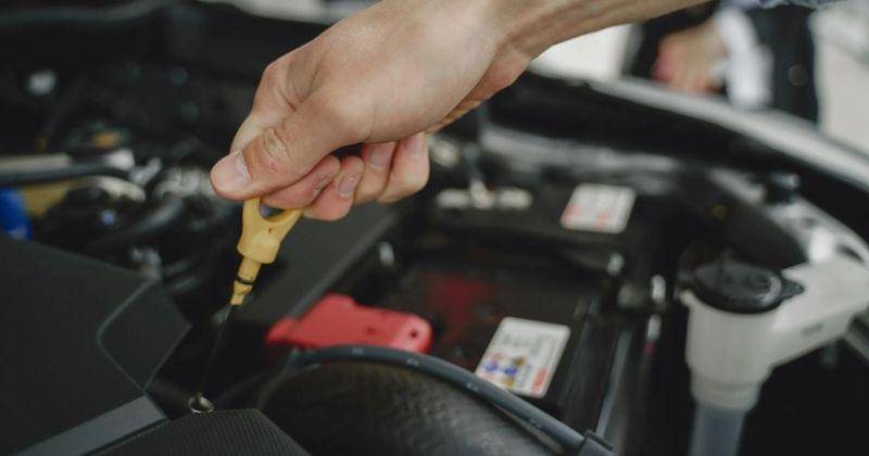 Pexels/Gustavo Fring